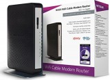 Netgear N450-100NAS