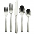 Oneida Mooncrest 45-piece Flatware